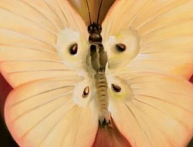 Αυτό που θα δείτε πρώτο στη φωτογραφία αποκαλύπτει τον υποσυνείδητό σας φόβο!